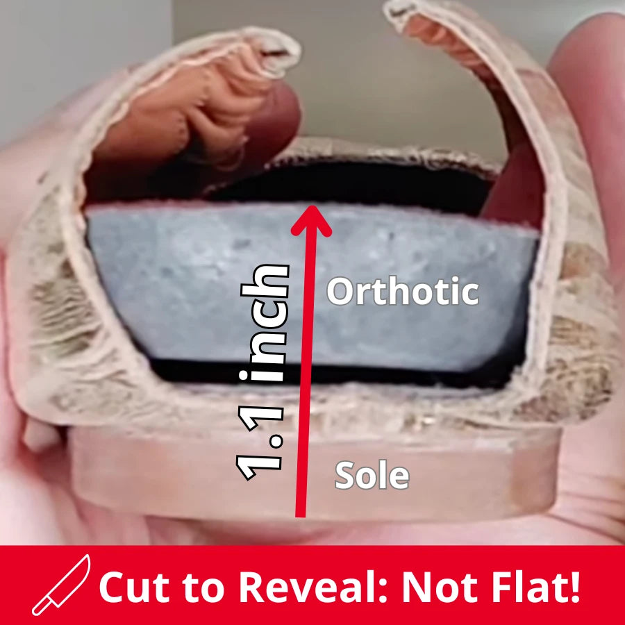 Close-up view of the back of an oh!pedics ballet flat, cut to reveal the structure inside. The image highlights the 1.1-inch combined heel and orthotic support, showcasing that these flats are not completely flat.